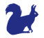 wyatt logo